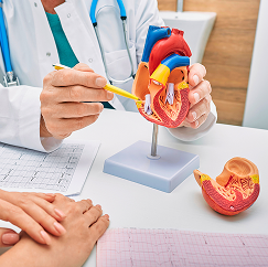 Cardiology